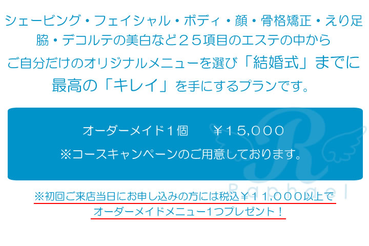 一番人気!オーダーメイドプラン