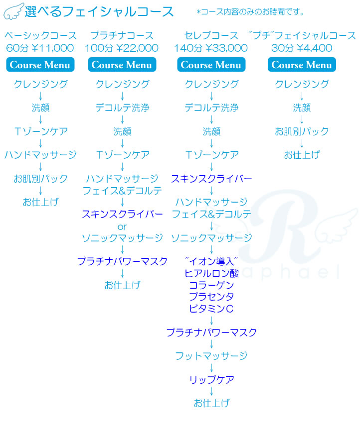 選べるフェイシャルコース